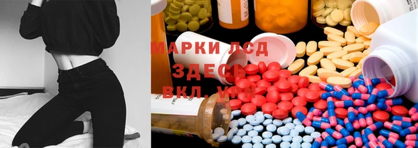 спайс Новодвинск