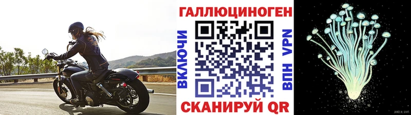 Псилоцибиновые грибы мухоморы  Купить закладки  Сарапул 